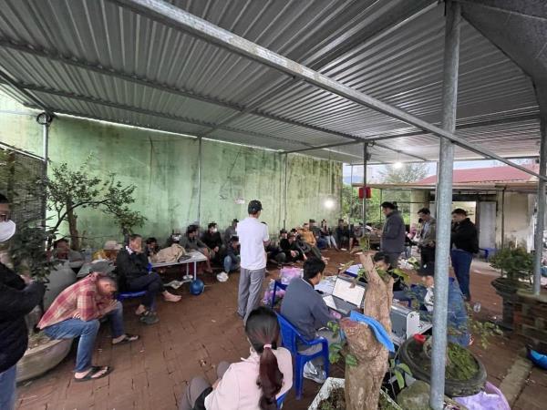 Tạm giam đối tượng tổ chức đá gà cá độ