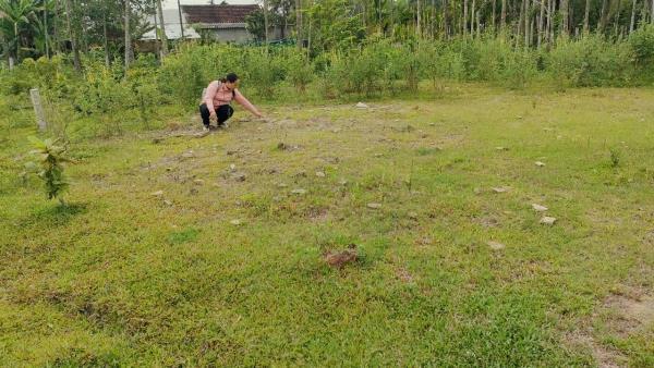 Chứng thực thừa kế sai quy định, Chủ tịch UBND xã nhận trách nhiệm