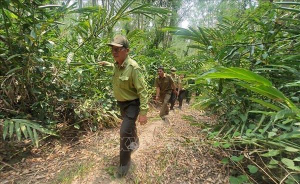 Phú Yên chủ động phòng cháy, chữa cháy rừng