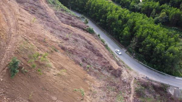 Bạt núi trồng keo uy hiếp an toàn giao thông các tuyến đường huyết mạch