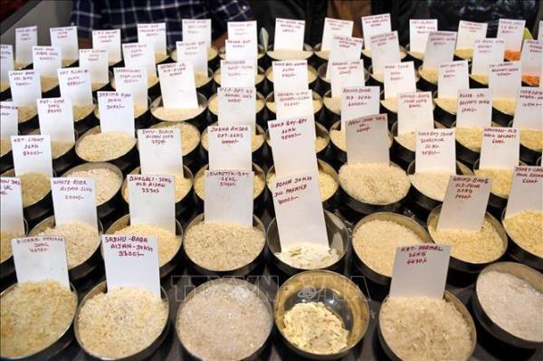 Thị trường nông sản: Nguồn cung dồi dào kéo giá gạo châu Á giảm mạnh