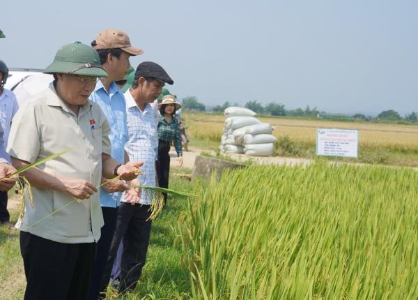 Tự hào trên quê hương anh hùng