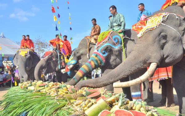 Du khách thích thú, ấn tượng với Hội voi Buôn Đôn