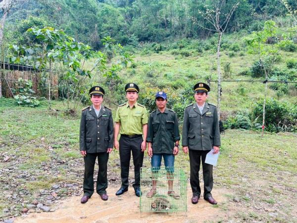 Giúp tề thiên đi lạc về rừng