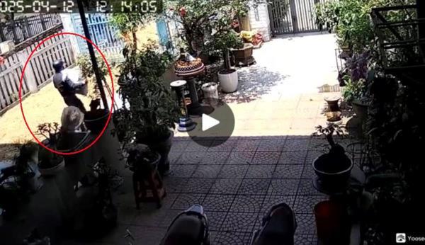 Con nghiện thích ăn cay