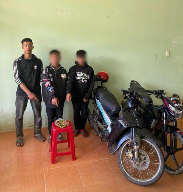 Công an xã Trà Linh nhanh chóng làm rõ vụ trộm sâm Ngọc Linh