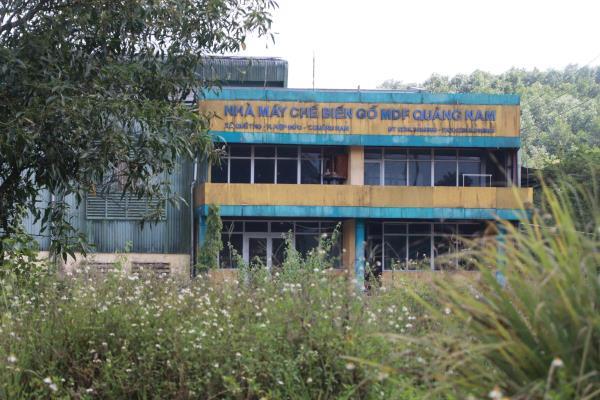 Nhà máy chế biến gỗ MDF Quảng Nam đóng cửa, người dân bị vạ lây