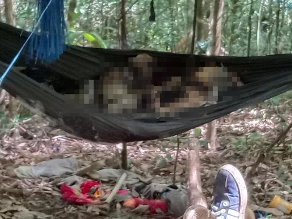 2 thi thể chỉ còn bộ xương khô: Chưa xác định danh tính, không tìm được thân nhân