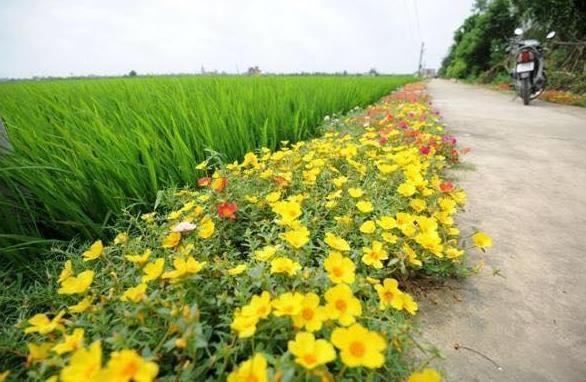 Có những sớm thu…