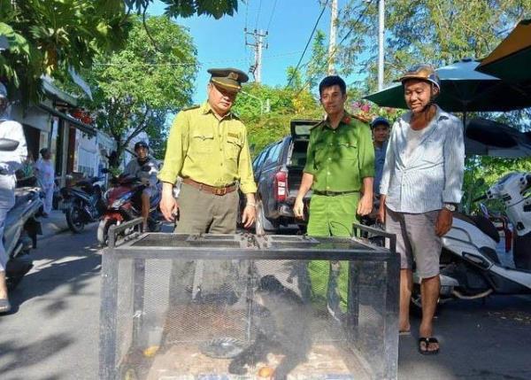 Động vật quý hiếm đi lạc