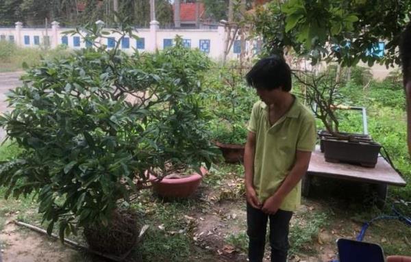 Mai tặc xộ khám