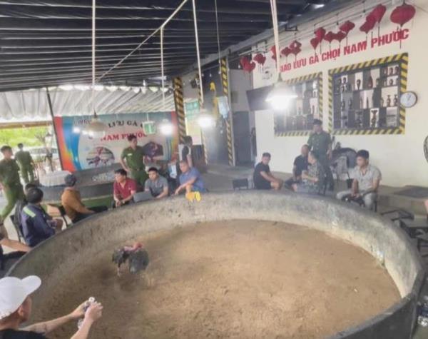 Triệt phá sới bạc nấp bóng hình thức giao lưu gà chọi