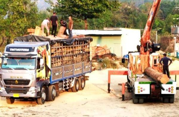 Điều tra vụ vùi gỗ lậu trong bãi tập kết cát ven sông