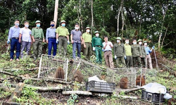 Thả động vật hoang dã về rừng