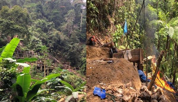 Đẩy đuổi vàng tặc