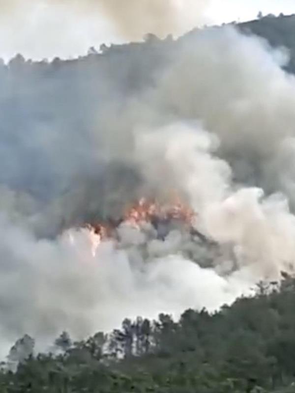 Máy bay chở 132 người rơi ở Trung Quốc