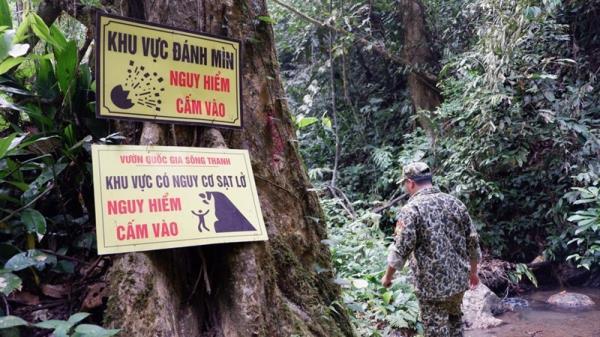 Chuyện của những người gác rừng... (Kỳ 1: lãnh địa vàng một thuở…)