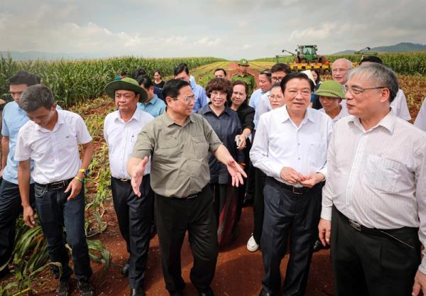 Thủ tướng Phạm Minh Chính thăm và làm việc tại các dự án của Tập đoàn TH