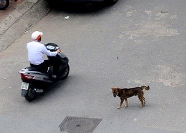 Chuyện nhỏ nhưng không nhỏ