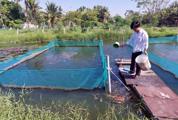 Thắp sáng thêm niềm tin của nhân dân với Đảng (Kỳ 2: Biến cánh đồng ngập úng, chua phèn ra sản phẩm OCOP)