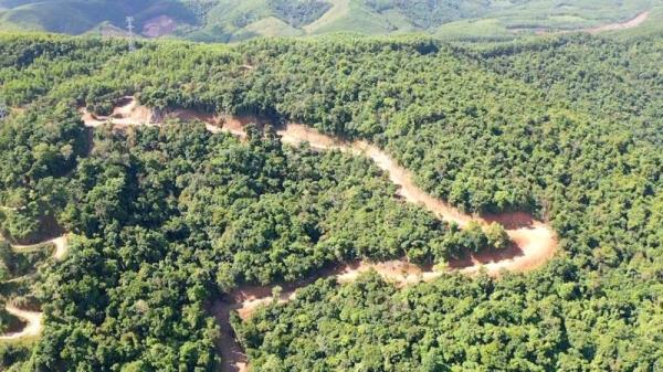 Tiếp tục làm rõ thông tin phá rừng ở Quảng Ngãi