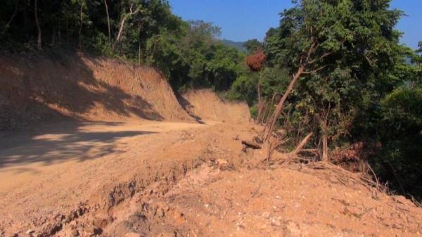 Tập đoàn Đèo Cả nói gì về việc phá rừng khi thi công Dự án tuyến cao tốc Bắc – Nam?