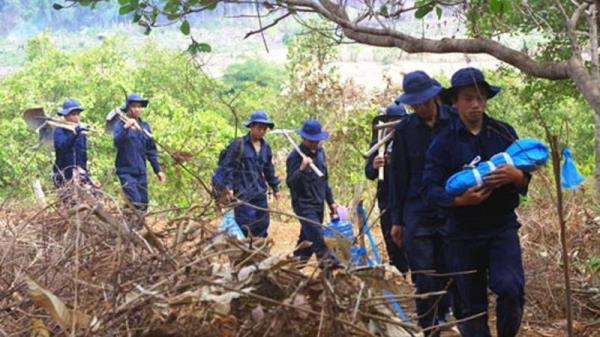 Hành trình đưa các anh về đất Mẹ