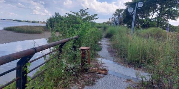 Đường rồng bay rậm rì lối vào