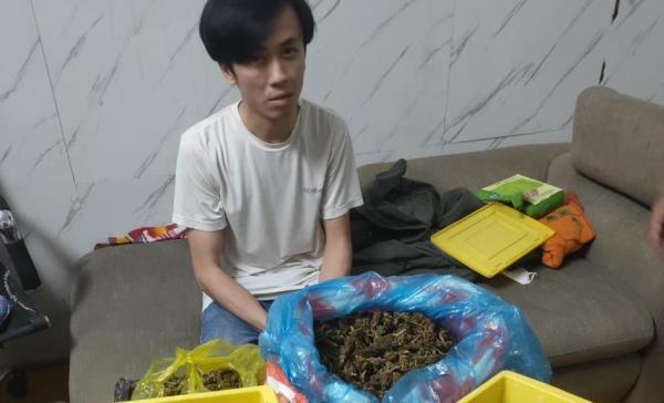 Triệt phá đại lý bán cần sa