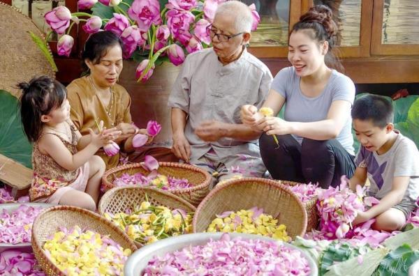 Nghề ướp trà sen Quảng An trở thành Di sản Văn hóa phi vật thể quốc gia