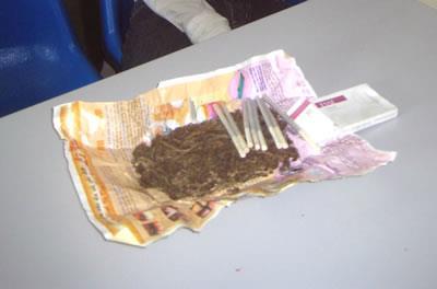 Tài hàng cỏ sa lưới