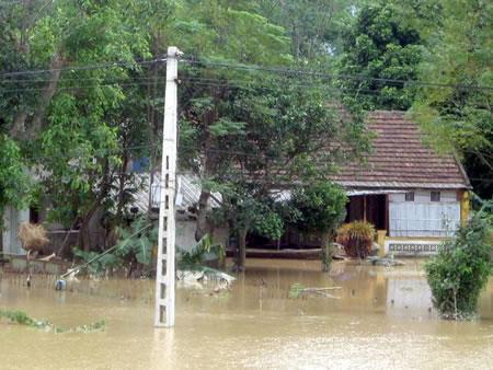 Khẩn trương khắc phục hậu quả bão số 3