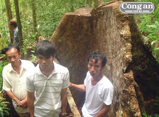 Bắt 10 đối tượng liên quan đến vụ phá rừng đặc dụng Bà Nà - Núi Chúa