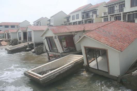 Lỗ hổng rừng phòng hộ