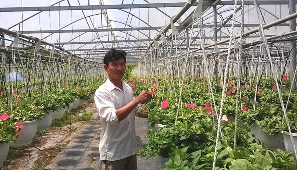 Đà Nẵng hướng đến nông nghiệp công nghệ cao (Kỳ cuối: Vì sao chưa hấp dẫn đầu tư?)