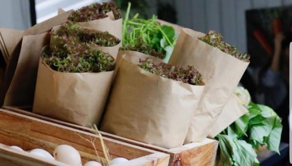 Giảm thiểu rác thải nhựa ra môi trường