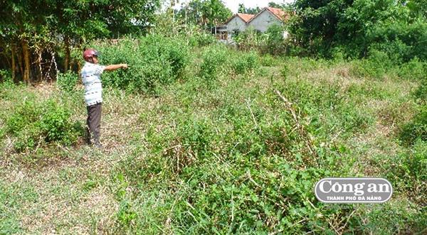 Biếu không 731m2 đất vàng, Chủ tịch, cán bộ địa chính xã Cẩm Thanh bị kỷ luật