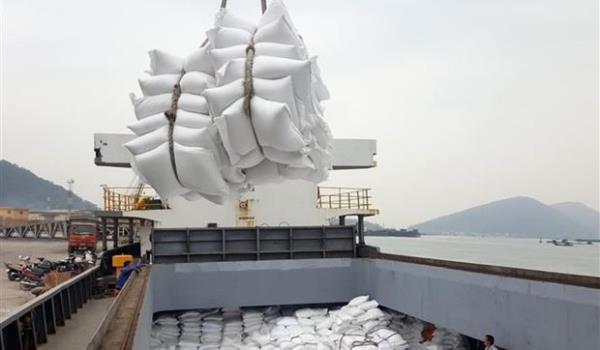 Thủ tướng: Tuyệt đối không để xảy ra thiếu gạo trong mọi tình huống