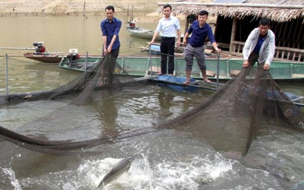 Hướng thoát nghèo cho người dân tái định cư