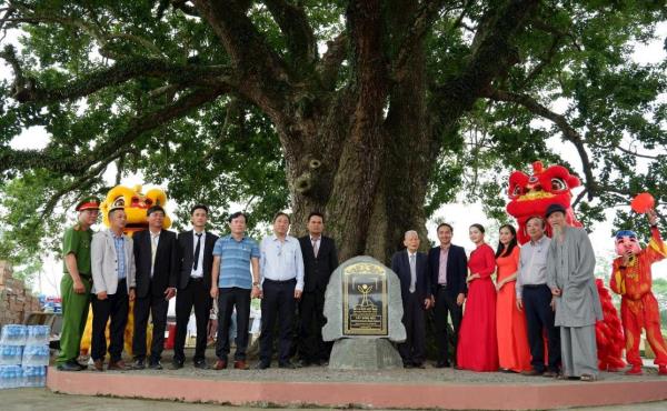 Đón nhận Bằng công nhận Cây Găng là cây di sản Việt Nam