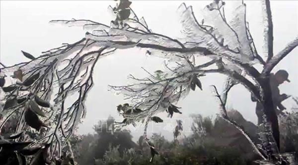 Đỉnh núi Yên Tử, Cao Ly xuất hiện băng giá