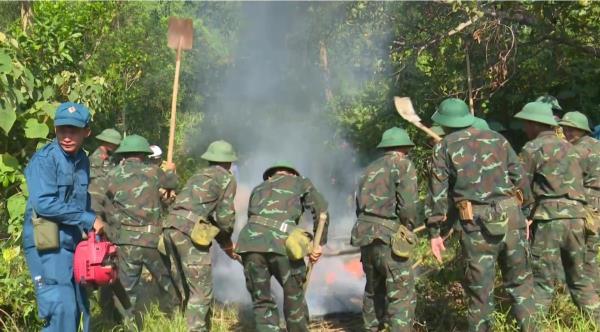 Chủ động bảo vệ, phòng cháy chữa cháy rừng