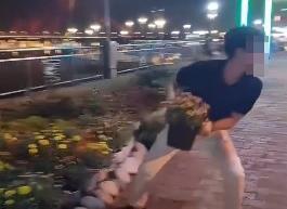 Quay cảnh trộm cây xanh để câu view ở Đà Nẵng, nam thanh niên bị Công an triệu tập làm việc