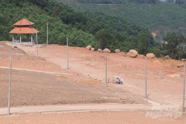 Thừa Thiên - Huế: Chuyển mục đích sử dụng rừng cho dự án làm trước, xin phép sau