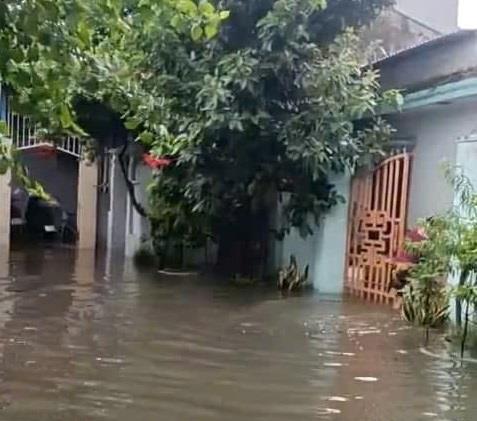  Ao làng giữa phố