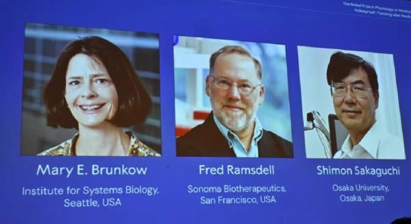 Nobel Y học 2025 vinh danh những khám phá về hệ miễn dịch