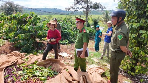 Giữ vững an ninh trật tự vì một mùa thu hoạch cà phê bình yên