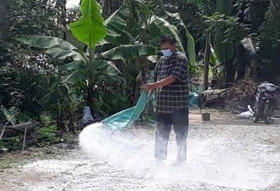 Huế tăng cường công tác phòng, chống dịch bệnh Cúm gia cầm