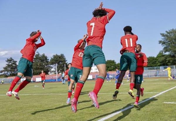 Con nhà tông giống cả lông lẫn cánh…