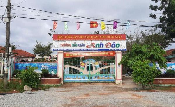 Quy trình kiểm tra, xử lý vi phạm của Hiệu trưởng Mẫu giáo Anh Đào đúng quy định